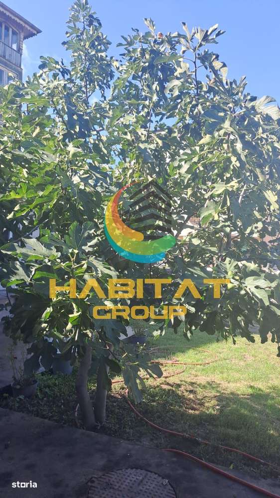 Casa de Vanzare Soseaua Leordeni - Imagine principală: 4/13