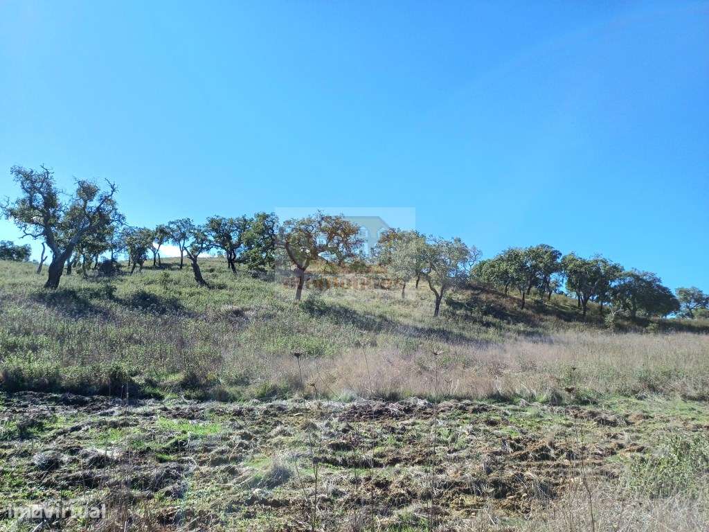 PROJECTO APROVADO para Empreendimento Turístico - propriedade com 4... - Grande imagem: 5/15