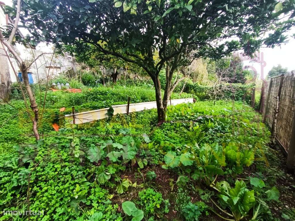 Casa antiga c/ terreno e anexo - Tavarede-9