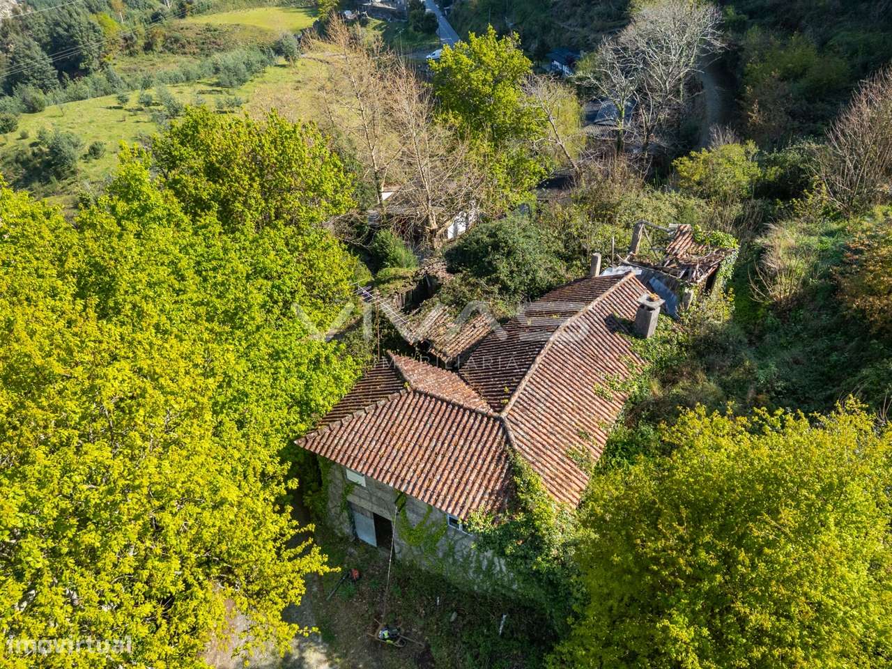 Quintinha  Venda em Parada do Bouro,Vieira do Minho - Grande imagem: 5/14