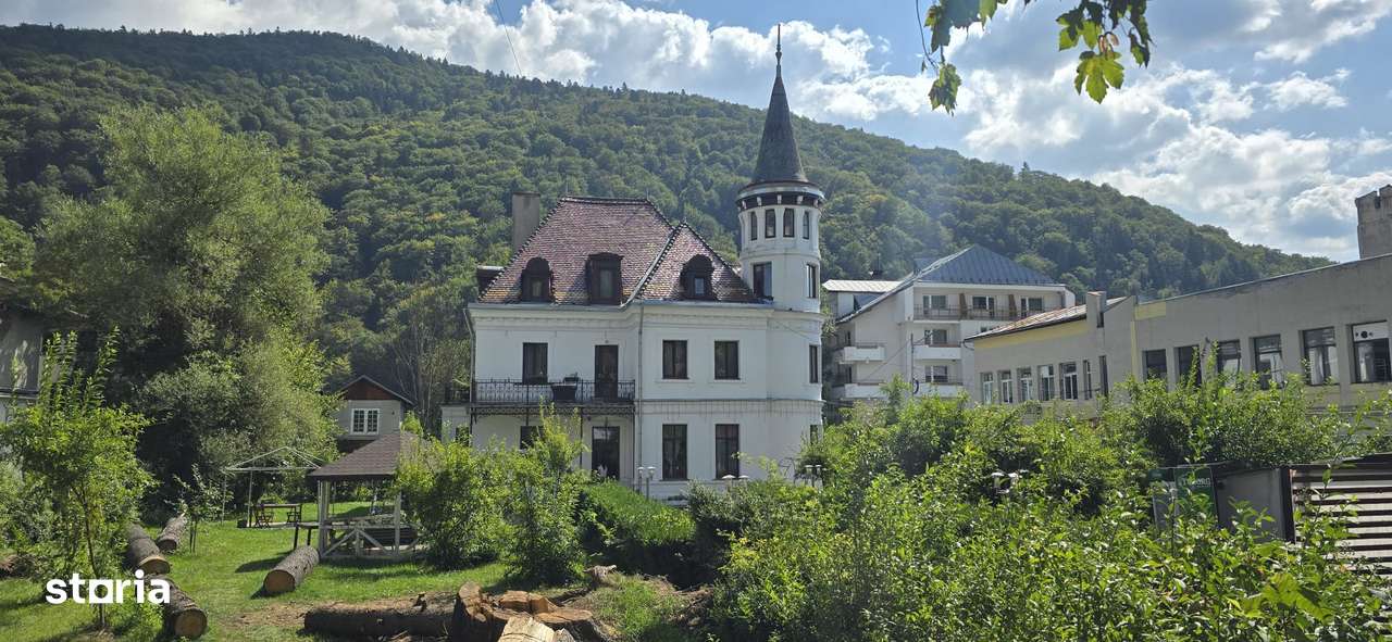 De vanzare - Teren intravilan 3614mp situat pe Bd. Carol I 25-0