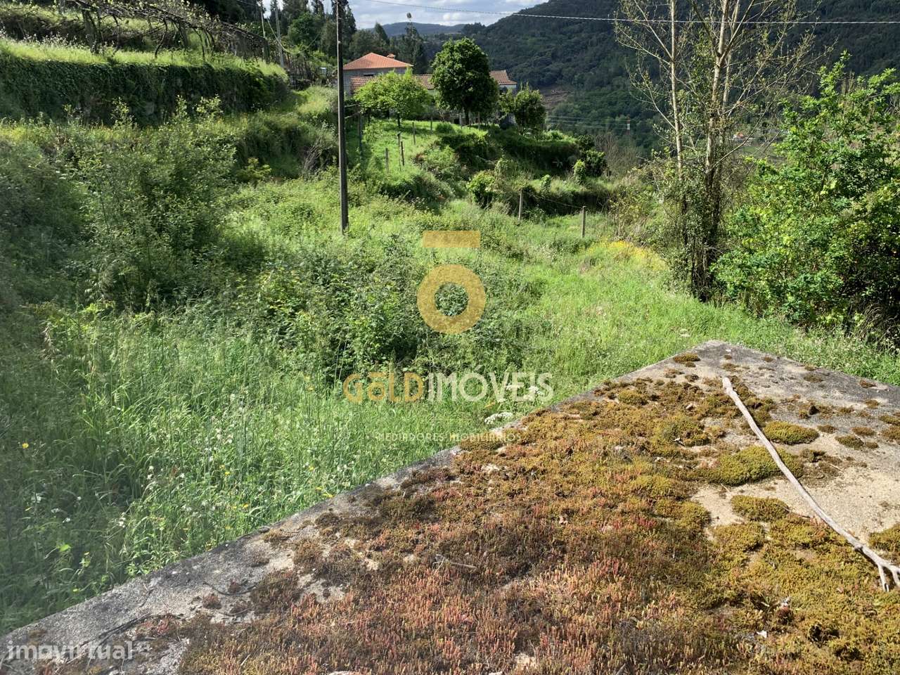 Terreno Rústico  Venda em Souselo,Cinfães - Grande imagem: 2/9