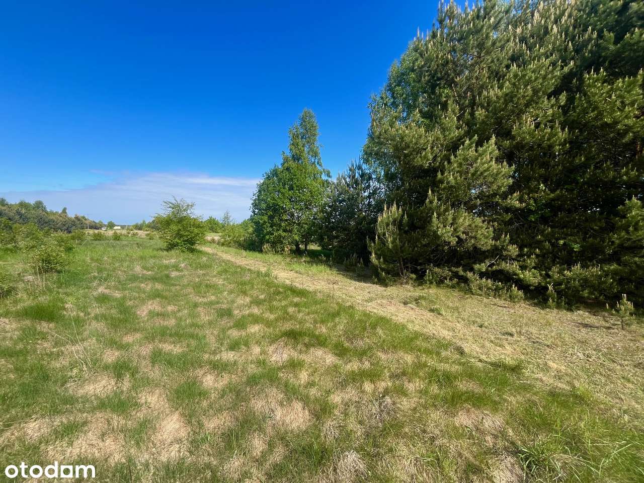 Działka budowlana - Czostków-9