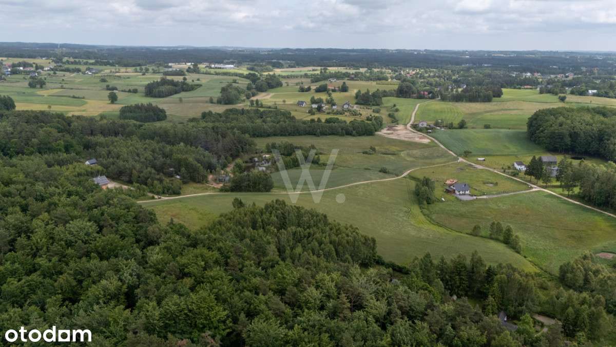 Działka rolna 1500 m² – Donimierz, gm. Szemud - Pełny obrazek: 4/7