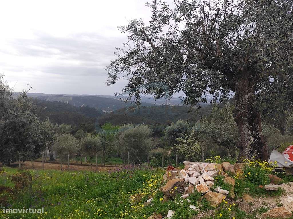 Terreno rústico com 720 m² com água e eletricidade junto - Grande imagem: 4/8