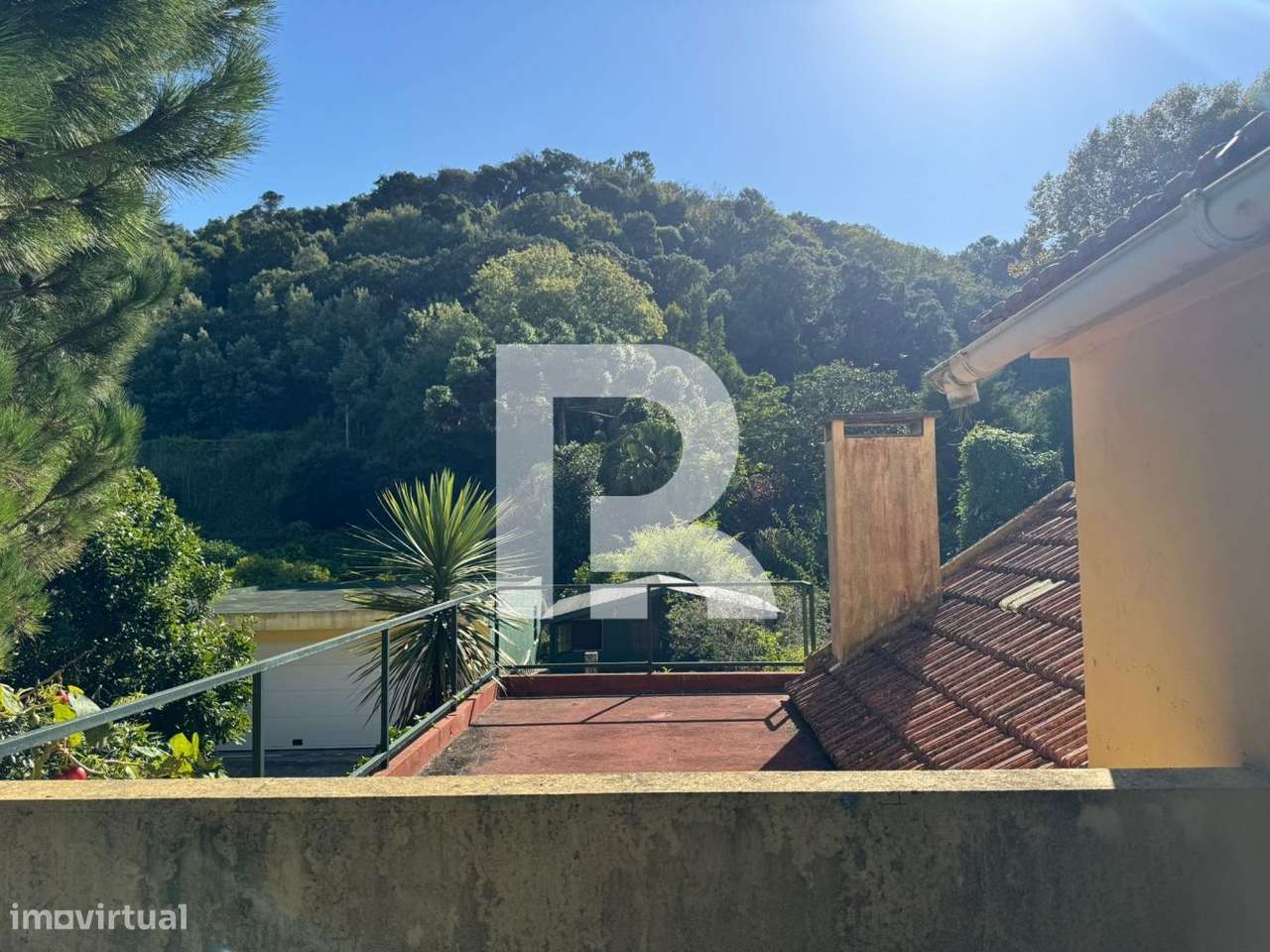Quinta Rústica em Colares, Sintra-6
