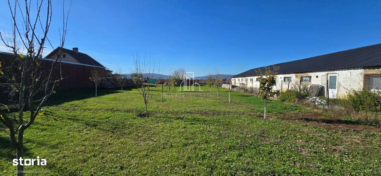 Teren de vanzare, Albesti, Sighisoara - Imagine principală: 5/5