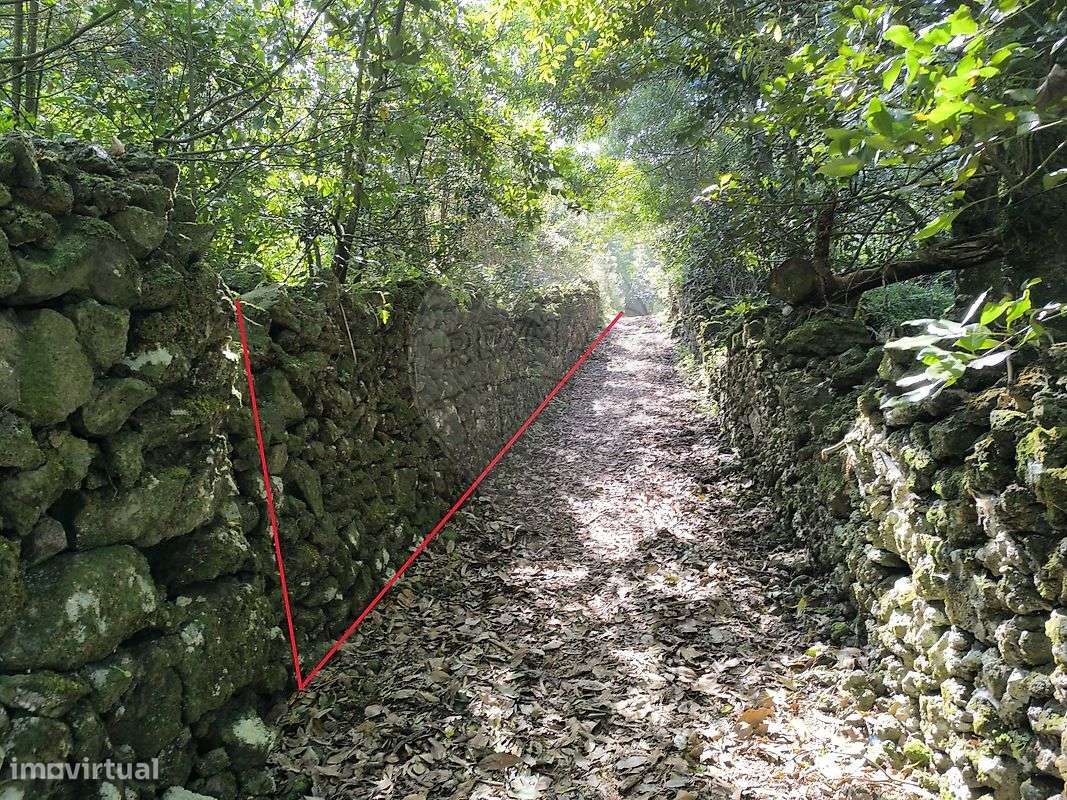 Terreno  para venda - Grande imagem: 4/7