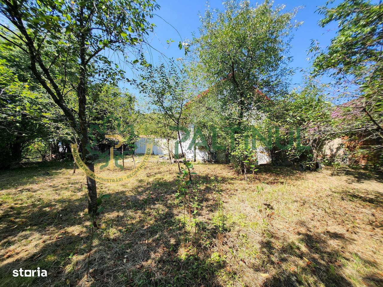 Casă Nucet, 864 mp teren cu pomi fructiferi – la 21 km de Sibiu - Imagine principală: 5/11