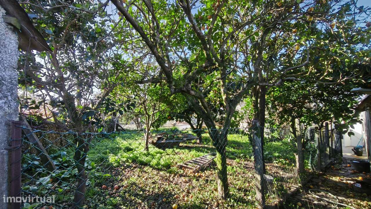 Moradia T4 com jardim e varanda em Santa Marta de Portuzelo - Grande imagem: 4/20