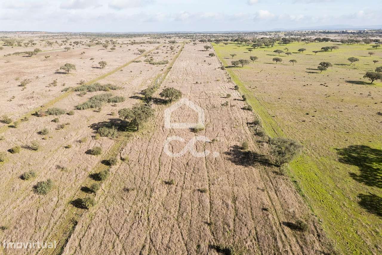 Terreno de 5,4 ha c/ Viabilidade de Construção | Capelins, Alandroal-41