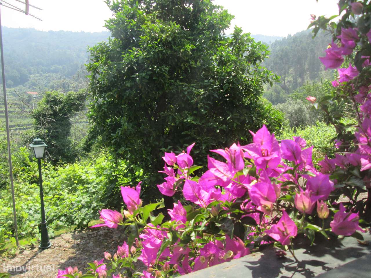 Quintinha no Minho Ponte de Lima * 10.000 m2 * a 90 Km do Porto-26