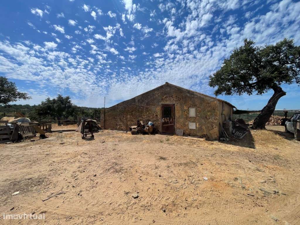 HERDADE COM 100 HECTARES E BASTANTE ARBORIZAÇÃO-49