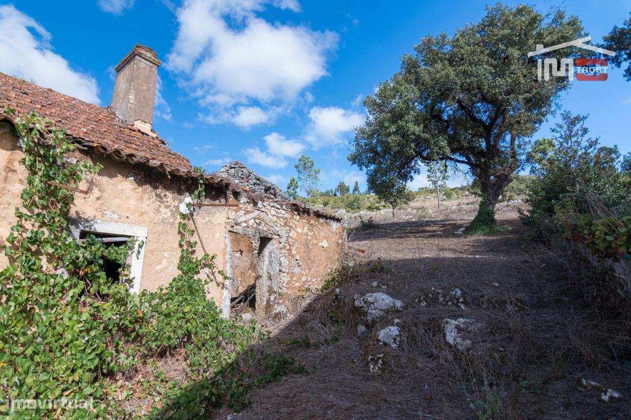 MORADIA T2 PARA RECUPERAR COM AREA TOTAL DE 1.200 M2 EM CASAL DURO ... - Grande imagem: 2/11