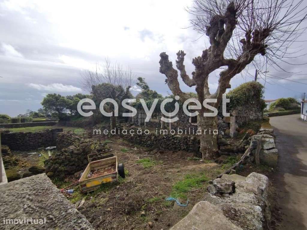 Moradia T3 para recuperar em São Bartolomeu de Regatos com Terreno - Grande imagem: 5/15