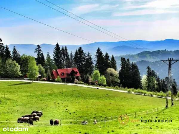 Inwestycyjnie - Dom pod lasem/Agroturystyka-0