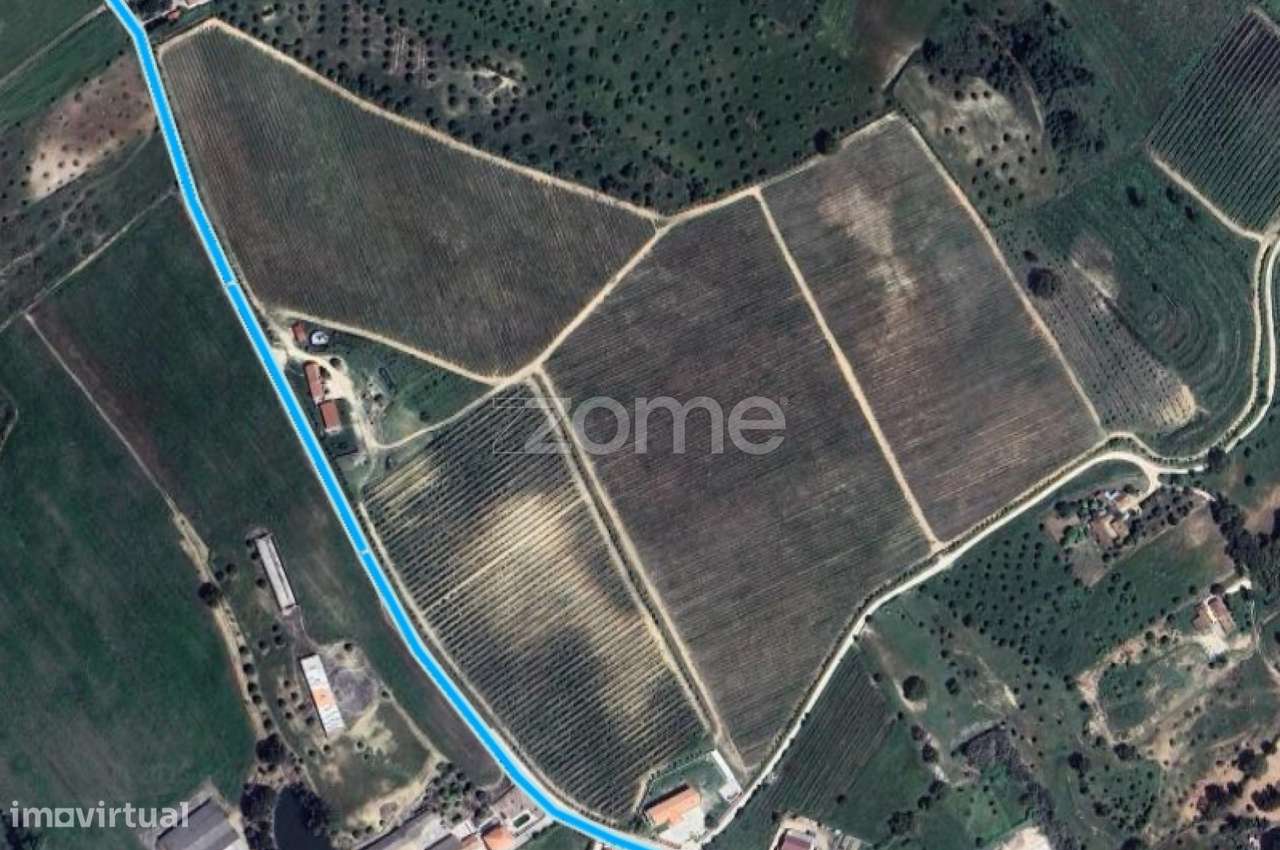 Quinta em Torres Novas-7