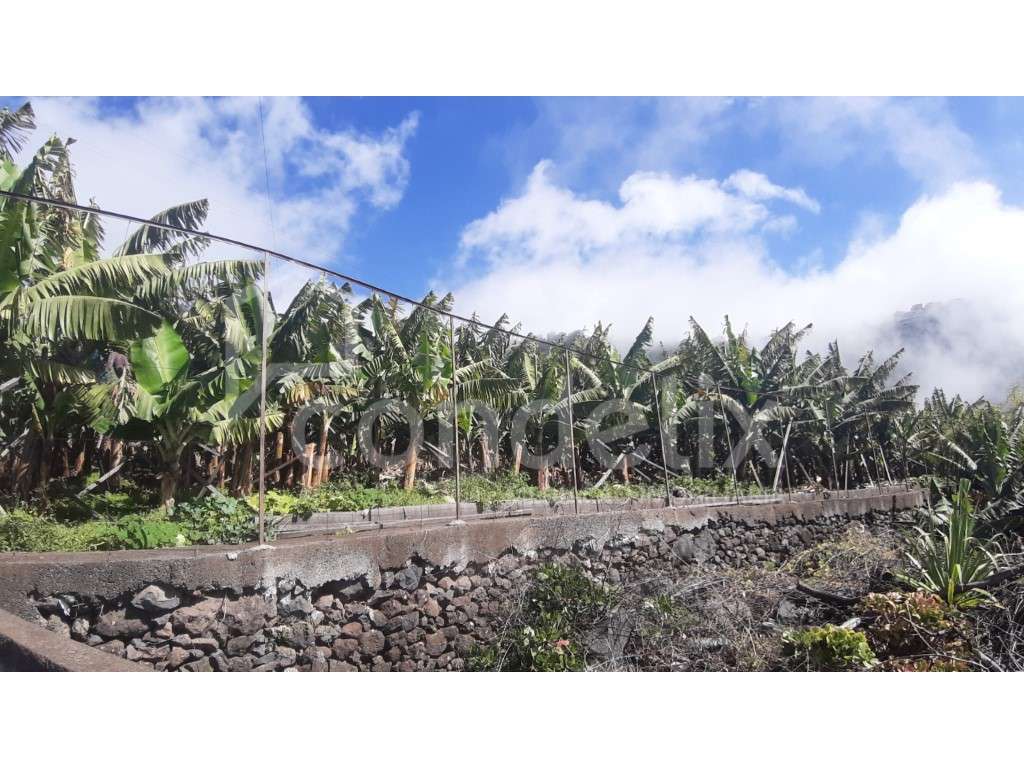 Terreno para construção de moradias no Arco da Calheta - Grande imagem: 4/6