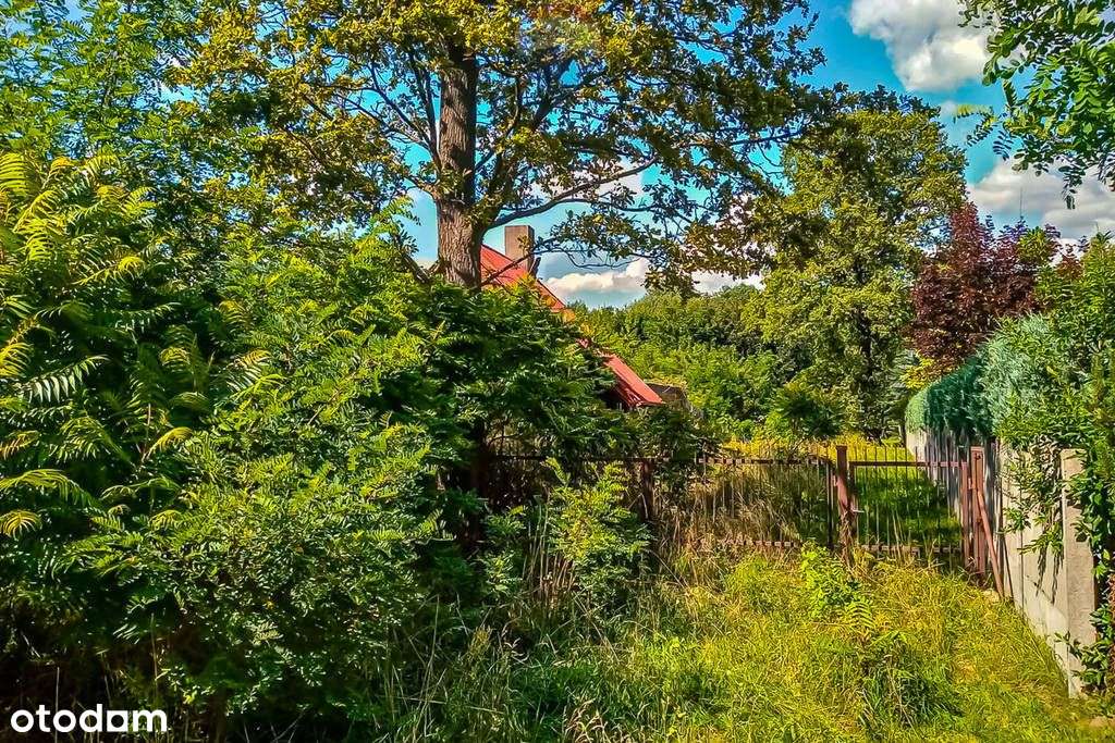 Ponad 3 ha działek z Mpzp Grabostów, asfalt, media - Pełny obrazek: 2/7