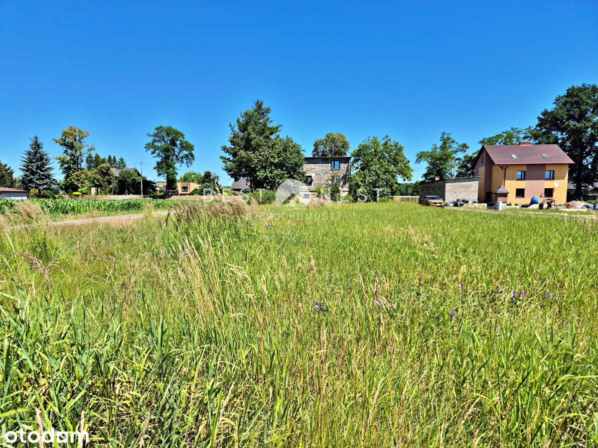 298515 - Pełny obrazek: 5/7