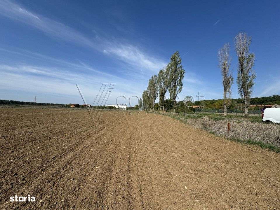 0% comision Teren intravilan – Ciolpani – Izvorani | 1.300 mp-4