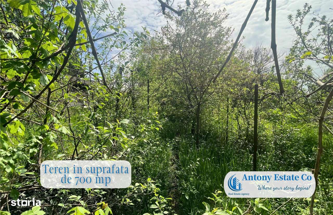 Train House casa de vânzare P+E, Oradea - Imagine principală: 3/5