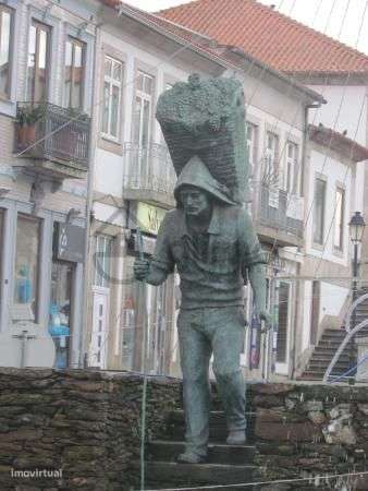 Casa com Terreno em Vilarinho de Cotas, Douro-45