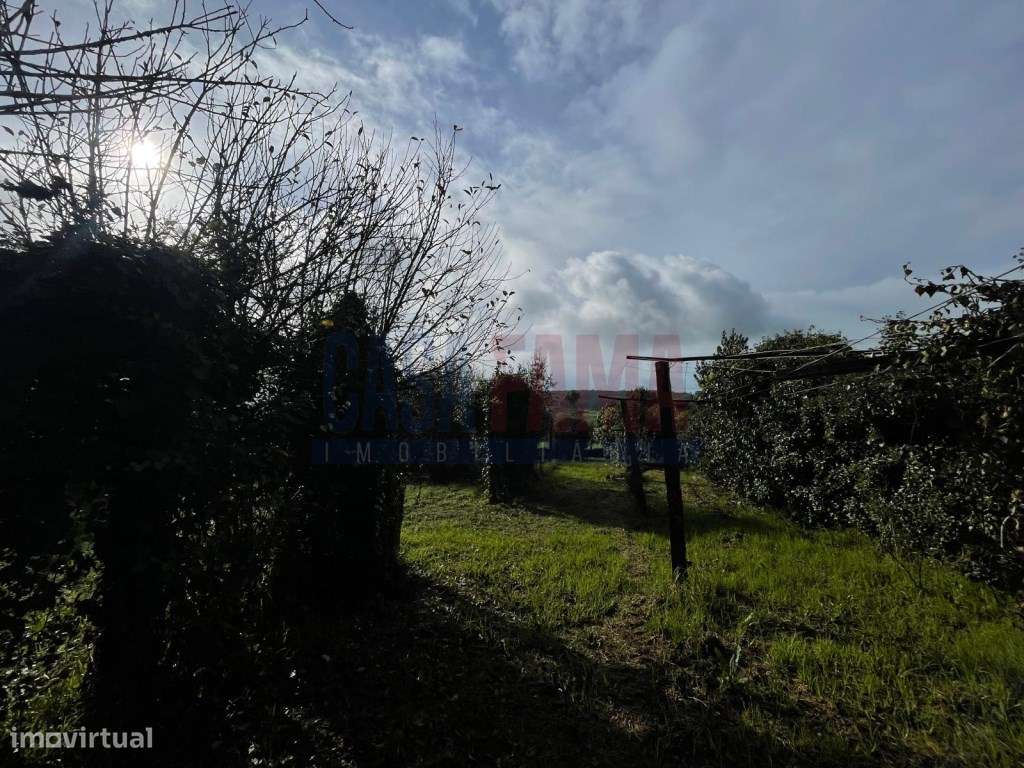 Terreno para Construção - São Pedro de Rates-11