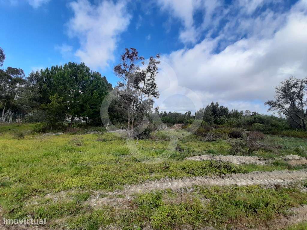 Terreno rústico classificada pelo PDM em vigor como urbanizável hab... - Grande imagem: 3/27