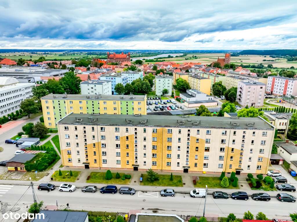 Jeśli w twoich żyłach płynie królewska krew ...-14