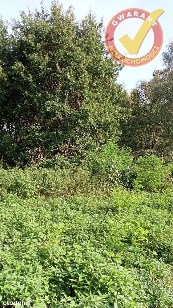 Działka z z Mpzp z dojazdem drogą asfaltową. - Pełny obrazek: 4/4