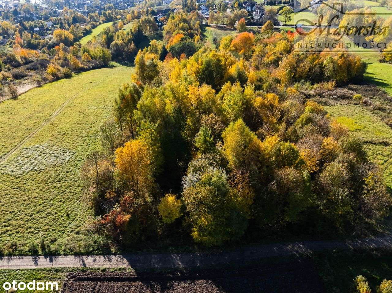 Działka inwestycyjna pod zabudowę usługową - Myśle-4