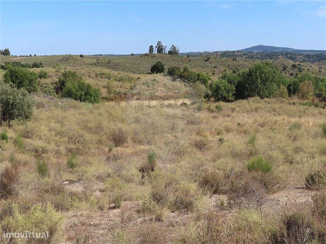 Quinta  para venda-8