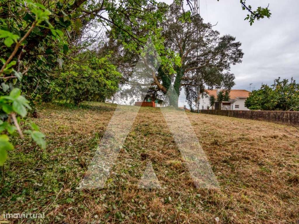 Lote de Terreno para construção de moradia na Sra. Do Monte - Salreu-6