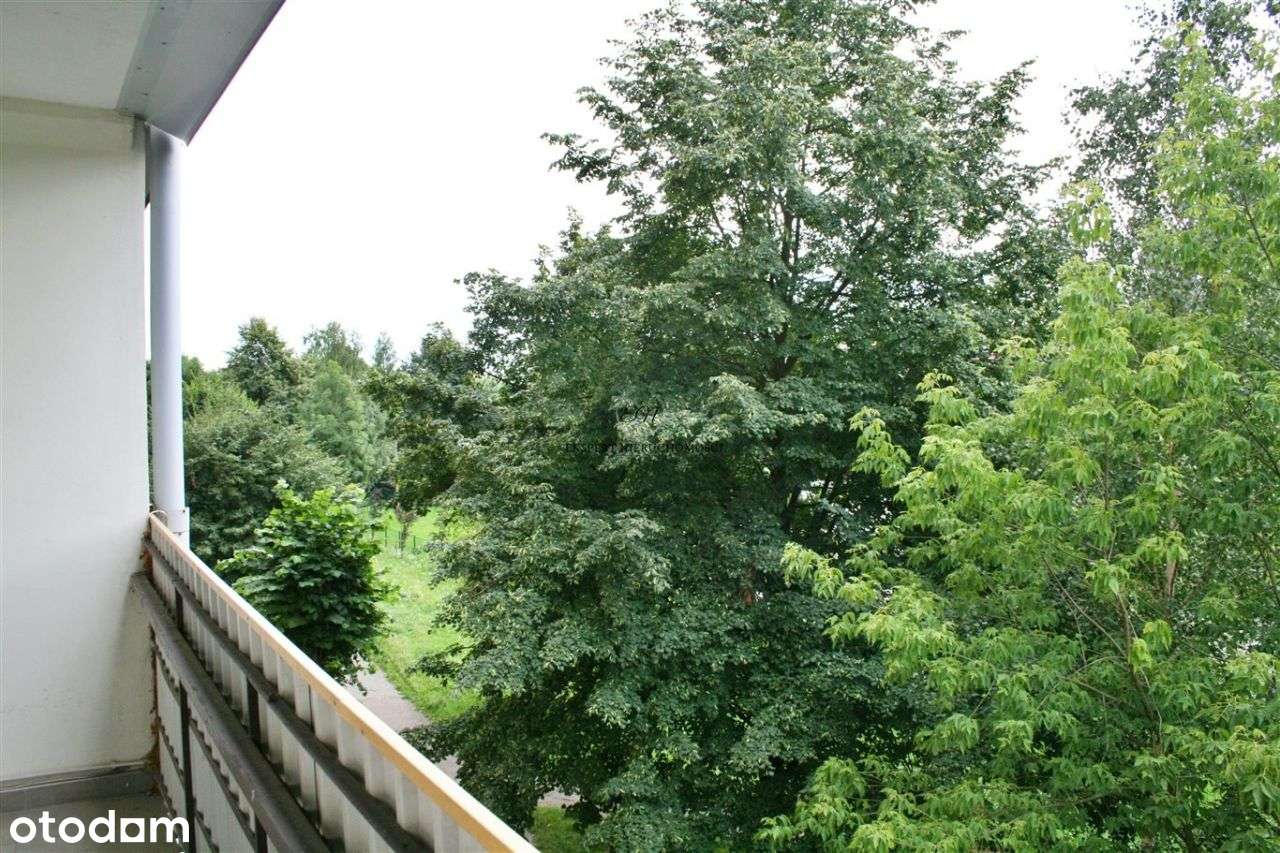 Mieszkanie M4 zadbane do wejścia!ŻoryKs Władysława-13