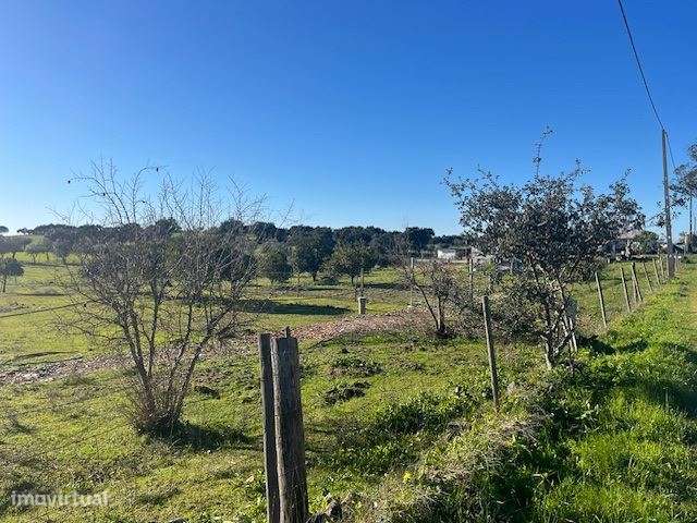 Quintinha, para venda, Viana do Alentejo - Viana do Alentejo - Grande imagem: 4/13