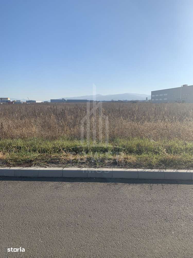 TEREN INTRAVILAN - ZONA INDUSTRIALA VEST-9000 mp, sau 18000 mp - Imagine principală: 3/7