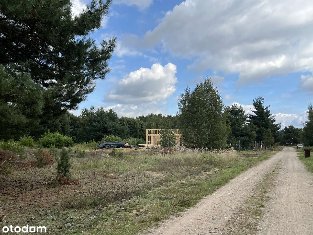 Działki budowlane w lesie blisko Wrześni Psary-2