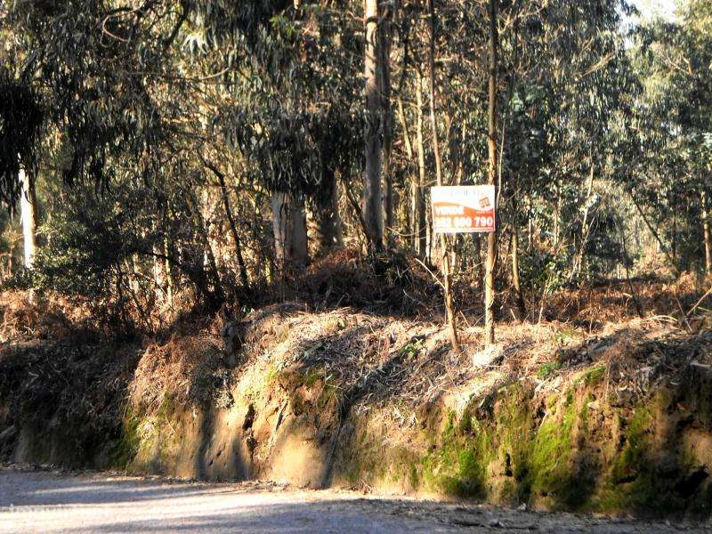 Terreno para construção de 23.000€ em Gião - Vila do Conde - Grande imagem: 5/7