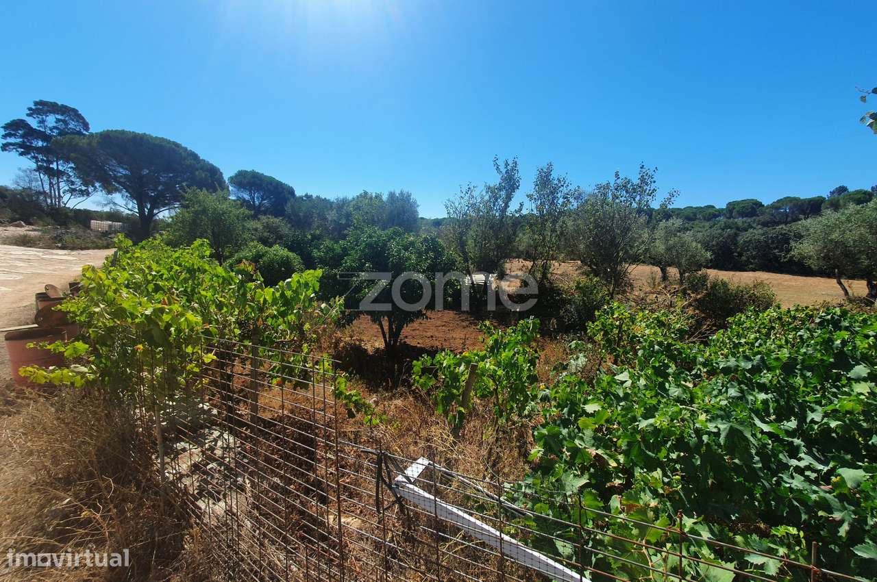 Moradia isolada com 10 assoalhadas e mais de 11000 m2 - Grande imagem: 1/28