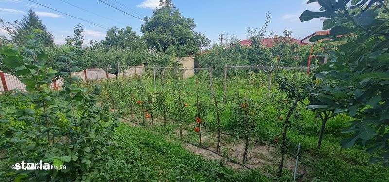 Casa de vanzare Posta Calnau,Sat Zilisteanca intersectia cu Blajani - Imagine principală: 5/7