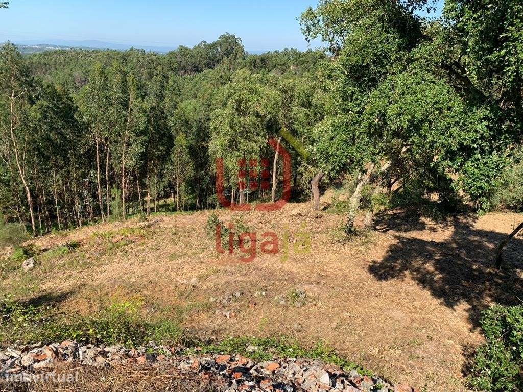 Oportunidade! Terrenos com viabilidade de Construção! - Grande imagem: 4/10