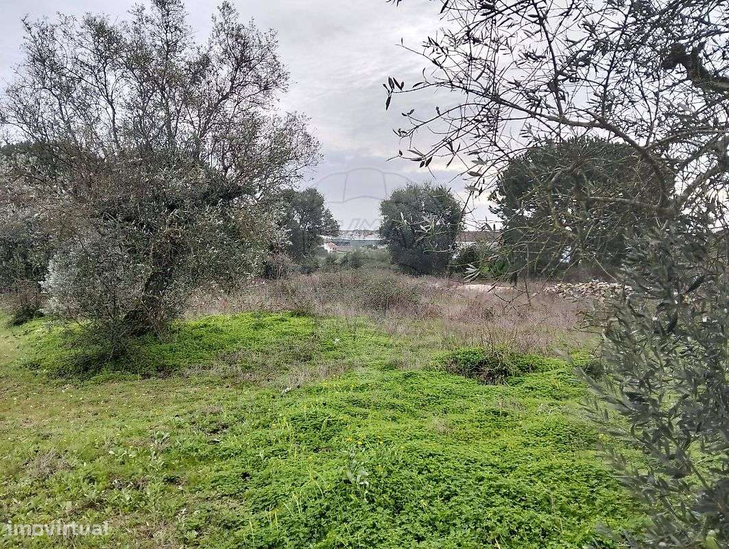 Terreno  para venda - Grande imagem: 4/6