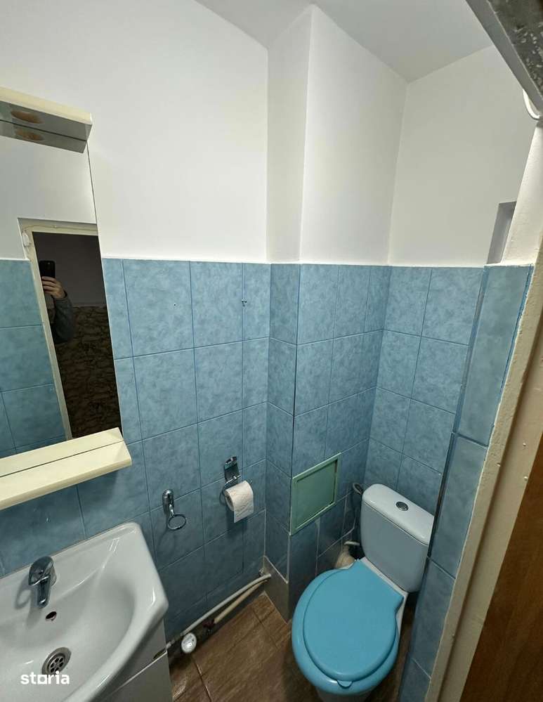 Ap.3 cam.dec, Zimbru/Octav Bancila, et intermediar, 84mp!-11