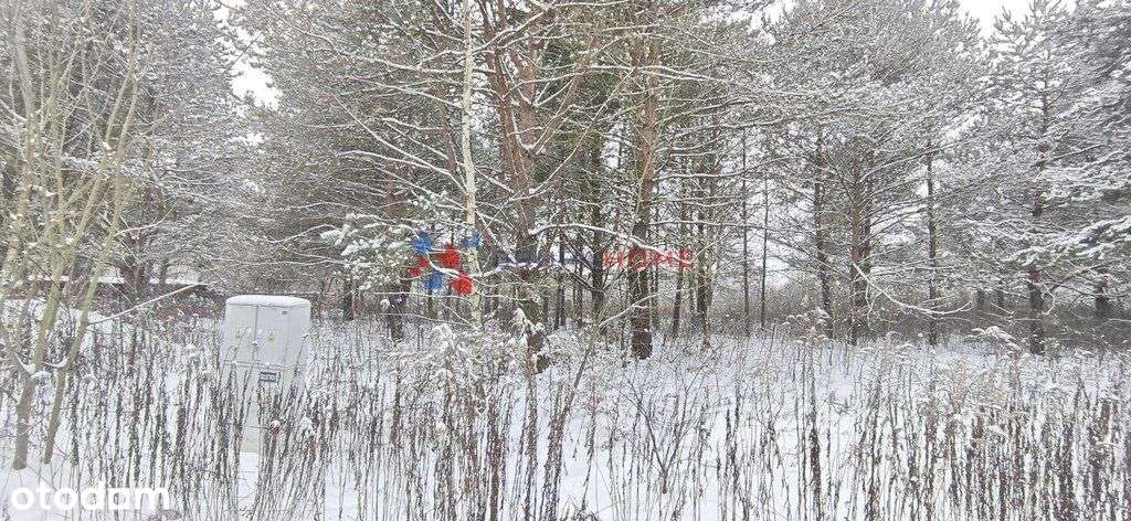 Łoś działka 1118 m2 budowlana, media, las-6