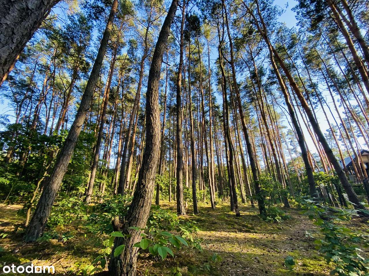 Bezpośrednio. Sprzedam działkę