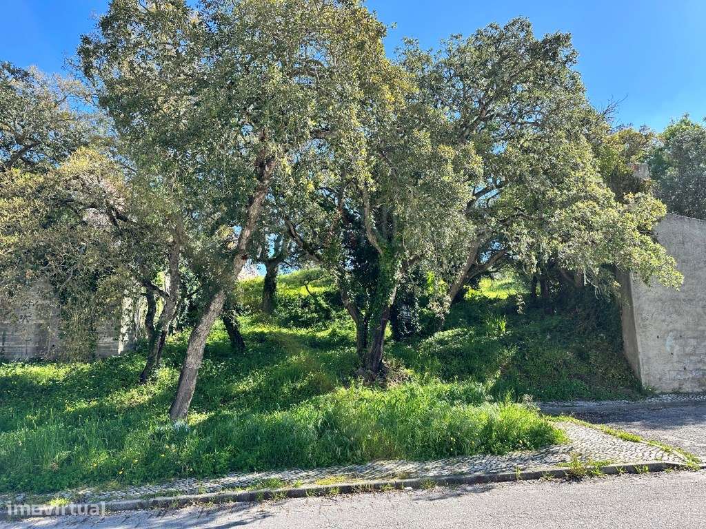 Lote Moradia Venda Sesimbra-8