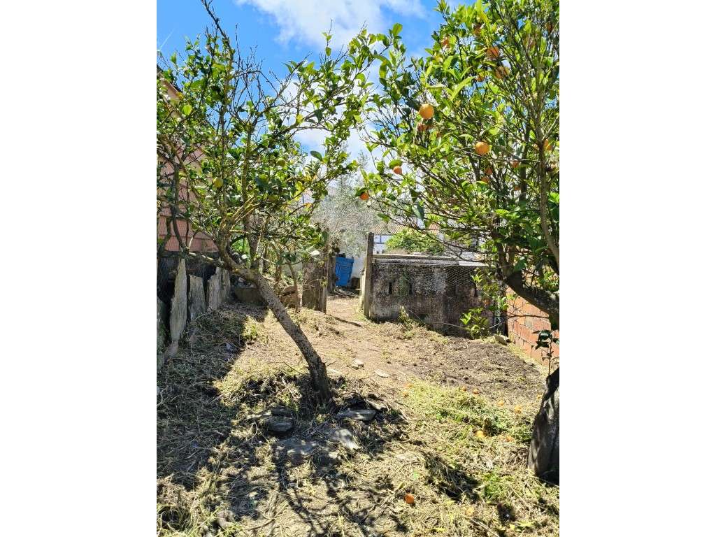 Moradia com T2 + T1 a 5 min da Praia Fluvial de Azenhas d'El Rei-13