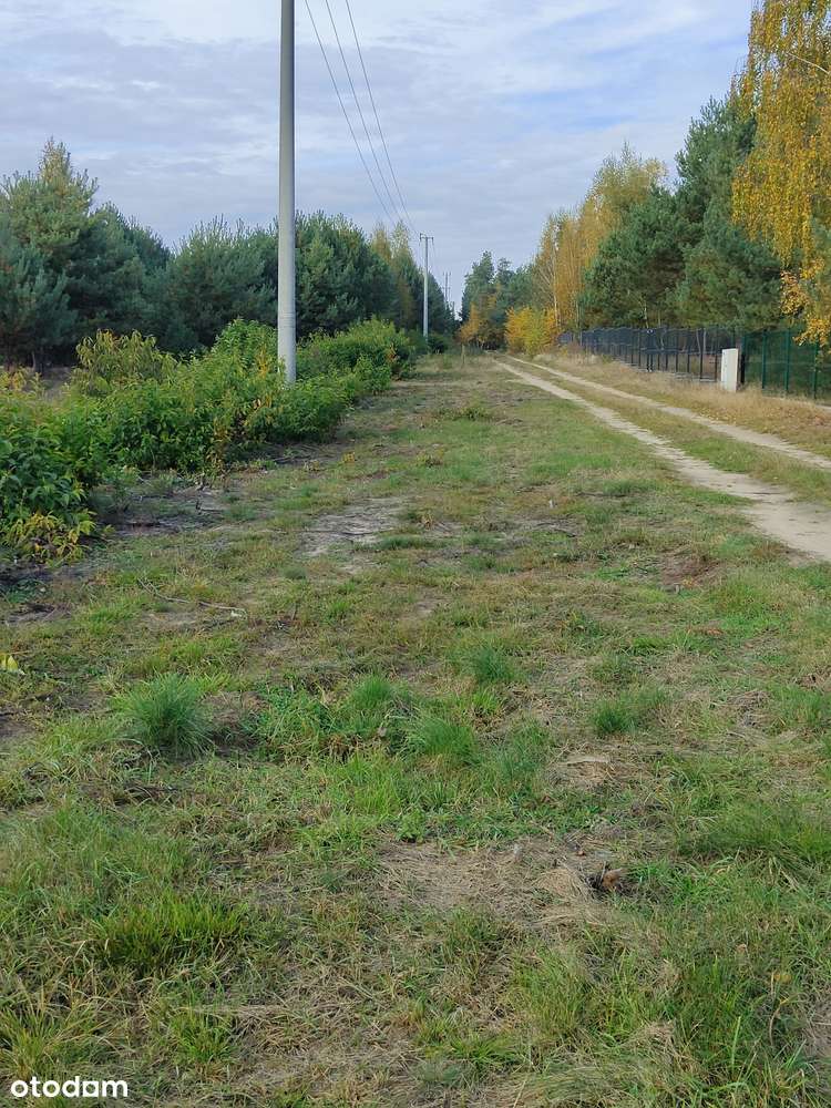7 Działek Budowlanych - Janopole płoński  832 m² Enklawa ciszy *Las* - Pełny obrazek: 5/20