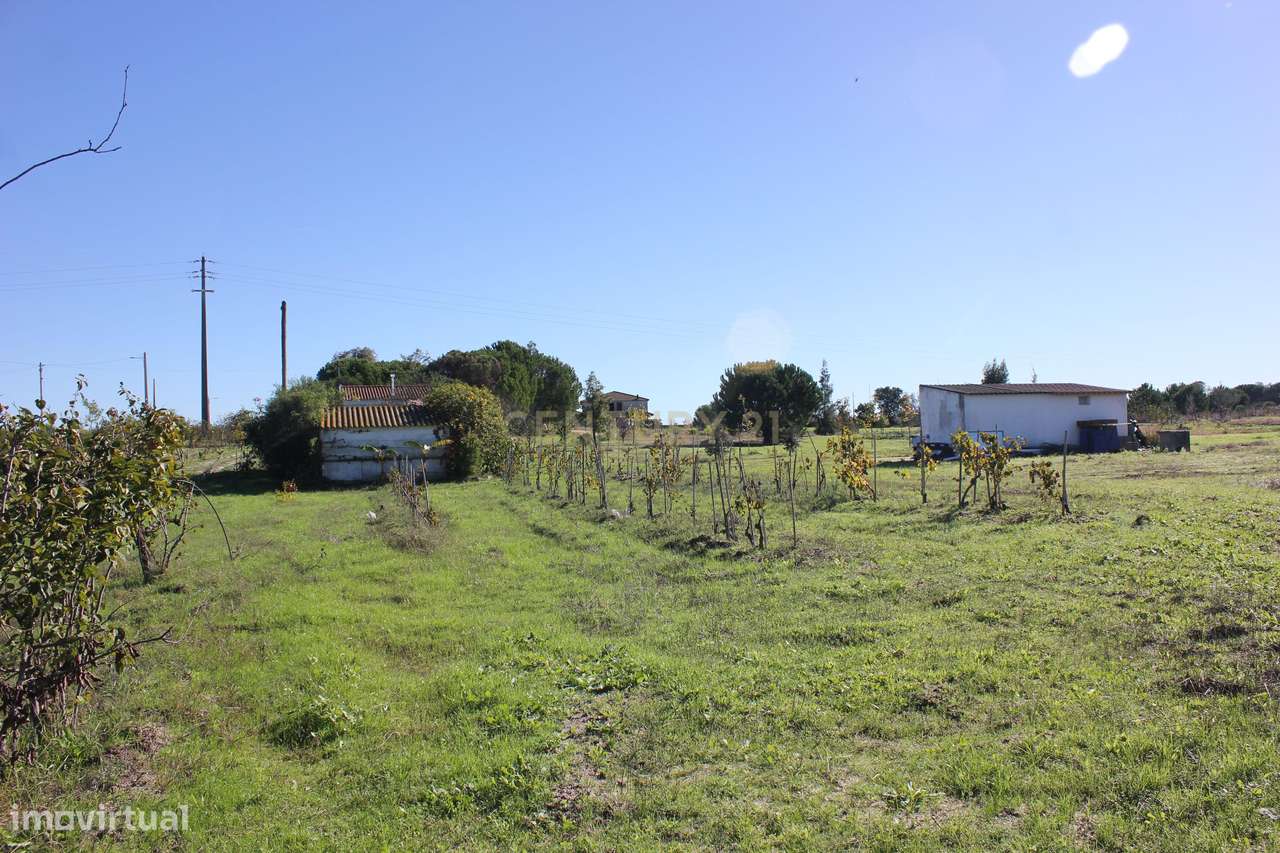 Quinta com Moradia para vender na Herdade de Almada em Foros de Almada-20